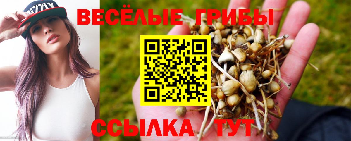 Псилоцибиновые грибы Psilocybine cubensis Саров