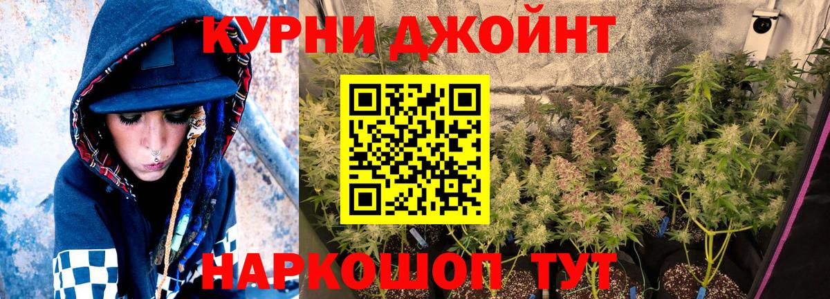 Шишки марихуана White Widow  Конопля MAZAR  Вход с VPN  Саров  Канабис сатива 